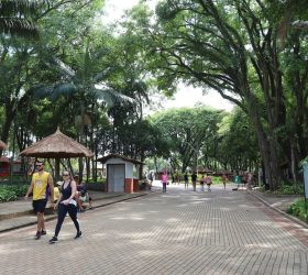 Foto: Prefeitura de Campinas