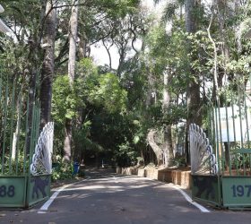 Foto: Divulgação/Prefeitura de Campinas

