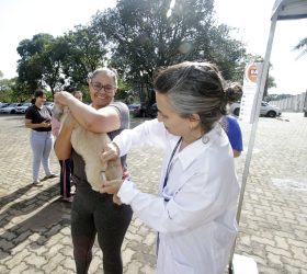 Secretaria de Saúde de Campinas vacina 64 animais após caso de raiva