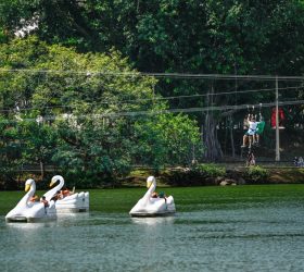 Foto: Prefeitura de Campinas