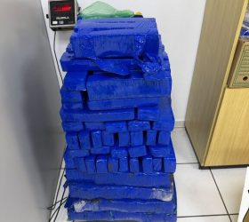Foto: Divulgação/PF