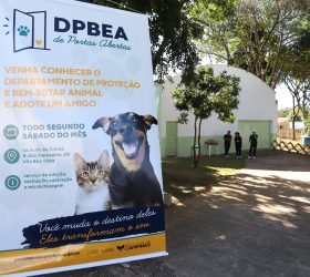 Segunda edição do DPBEA de Portas Abertas tem nova data, 22 de agosto, em Campinas