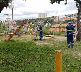 Foto: Divulgação/Prefeitura de Limeira