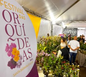 Foto: Divulgação/Prefeitura de Santa Bárbara d’Oeste