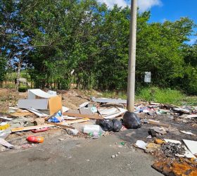 Foto: Gabinete Parlamentar – Vereador Felipe Penedo (PL)