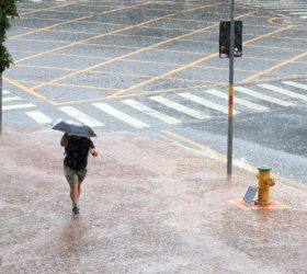 Foto: Divulgação/Prefeitura de Campinas