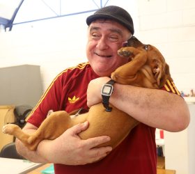 Foto: Divulgação/Prefeitura de Campinas