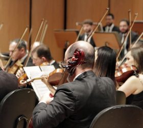 Foto: Divulgação/Prefeitura de Campinas