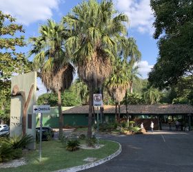 Foto: Divulgação/Prefeitura de Americana
