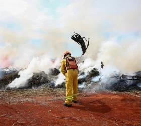 Foto: Divulgação/Governo de SP