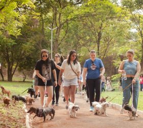 Foto: Divulgação/Prefeitura de Iracemápolis
