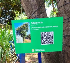 Identificação de árvores com QR Code chega ao Parque Dorothy em Hortolândia