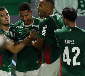 Cesar Greco / Palmeiras