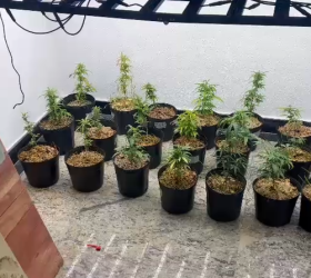 Foto: Divulgação/PF de Campinas