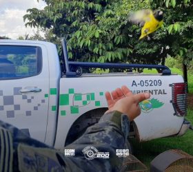 Foto: Divulgação/Polícia Militar
