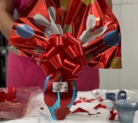 Foto: Governo de SP