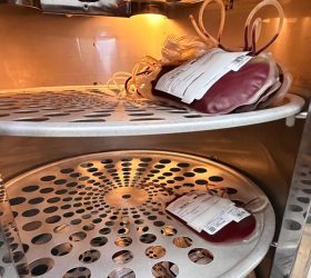 Banco de Sangue do Hospital Municipal faz apelo por doações diante de estoque crítico