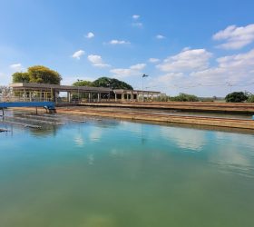 Foto: Divulgação/Prefeitura de Piracicaba