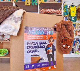 Campanha do Agasalho em Limeira para pets reforça doações a cães e gatos no inverno
