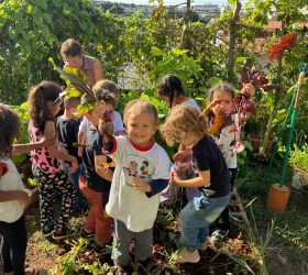 Centro Infantil de Limeira se destaca com horta pedagógica do projeto “Semeadores do Futuro”