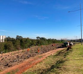 Parque Lago da Fé ganhará mil mudas de espécies nativas, após remoção de plantas invasoras em Hortolândia