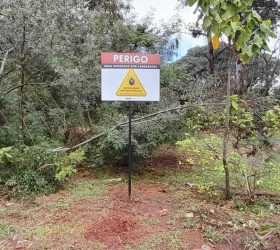 Americana confirma óbito por febre maculosa