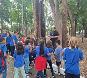 Mês da Árvore mobiliza mais de 850 pessoas em ações de educação ambiental em Limeira