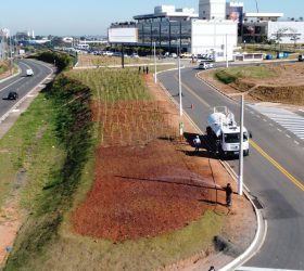 Prefeitura implantará 3ª microfloresta urbana de Hortolândia nesta quarta-feira