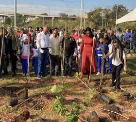 Hortolândia celebra Dia Mundial do Meio Ambiente com plantio de 3ª microfloresta urbana