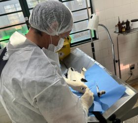Foto: Divulgação/Prefeitura de Piracicaba
