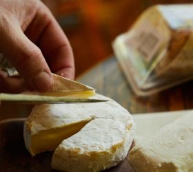 Sabor & Arte: mostra cultural e gastronômica em Piracicaba acontece nos dias 18, 19 e 20 de setembro