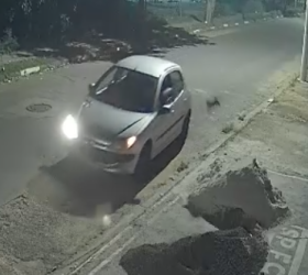 Homem é preso após jogar gato pela janela de carro e abandoná-lo em Campinas