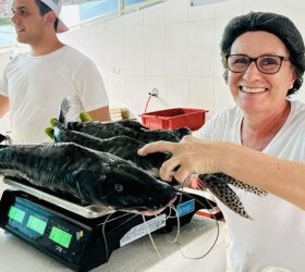 Fotos: Divulgação/Prefeitura de Piracicaba