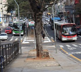 Foto: Divulgação/Emdec