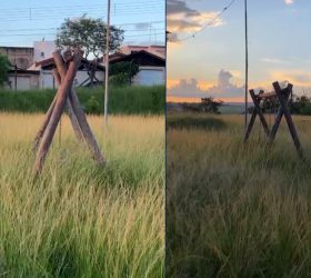 Moradores de Limeira denunciam mato alto e risco de animais peçonhentos em praça da Rua Jair de Barros Cotrim