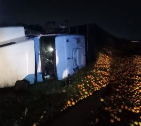 Caminhão com 30 toneladas de laranjas tomba e bloqueia parcialmente Rodovia Comendador Leopoldo Dedini