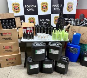 Foto: Reprodução/Polícia Civil