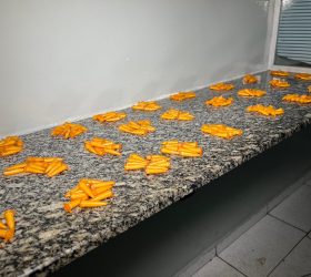 Adolescente é apreendido com drogas e aves silvestres durante ação da PM em Limeira