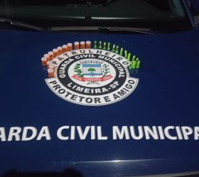 Foto: Divulgação/GCM de Limeira