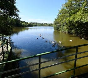 Foto: Divulgação/Prefeitura de Campinas