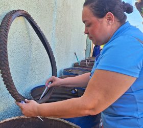 Foto: Divulgação/Prefeitura de Limeira