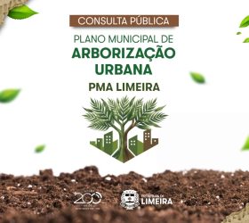 Prefeitura de Limeira abre consulta pública para revisão do Plano Municipal de Arborização Urbana