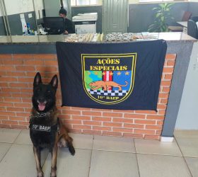Adolescente de 13 anos é apreendido por tráfico de drogas e homem é preso durante operação com cão do BAEP em Limeira