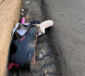 Foto: Divulgação/GAMA
