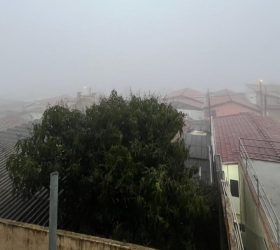 Foto: Portal Veloz