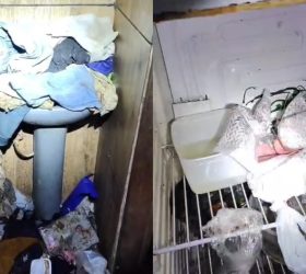 Em Leme, PM prende casal e resgata quatro crianças e um adolescente em situação de vulnerabilidade