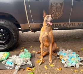 Foto: Divulgação/GAMA