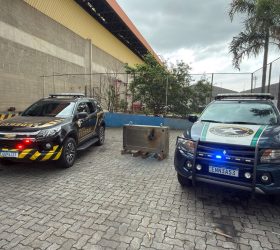 Foto: Divulgação/PF
