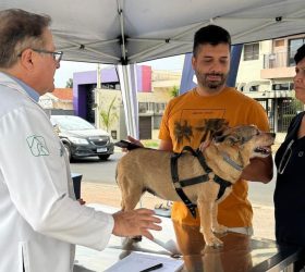 3º Outubro Rosa Pet acontece no dia 31 de outubro em Americana com ações de prevenção e cuidados com a saúde animal