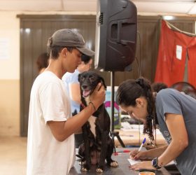 Foto: Divulgação/Prefeitura de Limeira